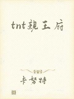 tnt亲王府