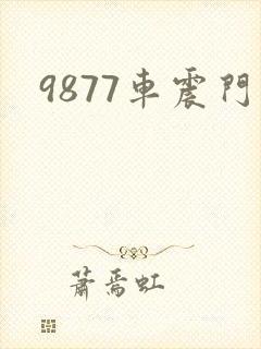 9877车震门