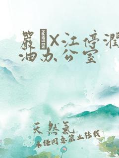 严峫X江停润滑油办公室