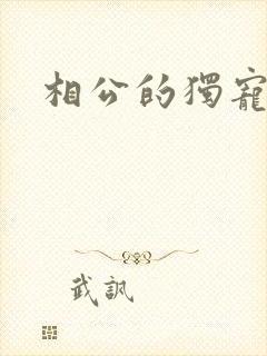 相公的独宠妻子