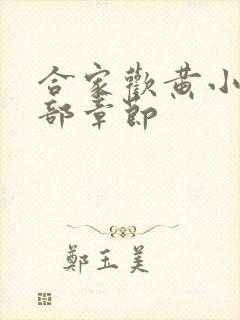 合家欢黄小梅全部章节