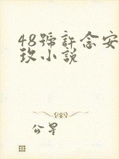 48号许念安穆玫小说