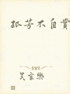 孤芳不自赏小说