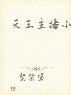 天王主播小说