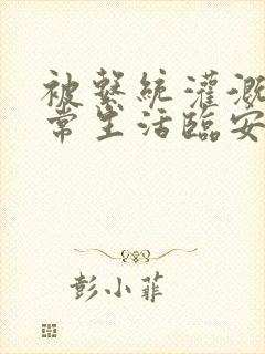 被系统灌溉的日常生活临安