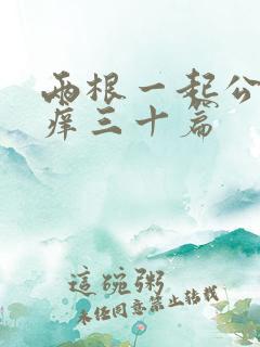 两根一起公憩止痒三十篇