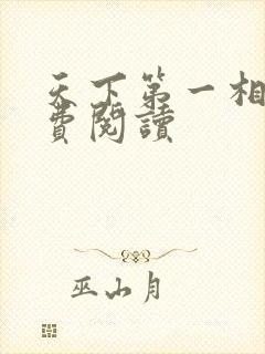 天下第一相书免费阅读