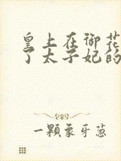 皇上在御花园c了太子妃的网剧