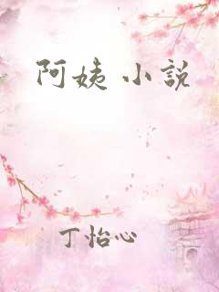 阿姨 小说