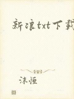新浪txt下载