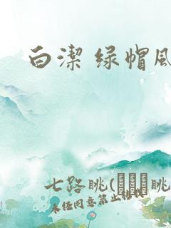 白洁 绿帽风云