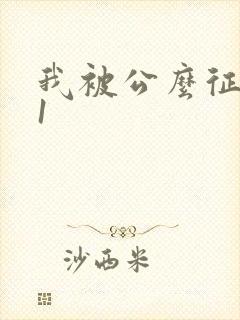 我被公么征服了1