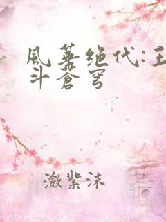 风华绝代:王妃斗苍穹