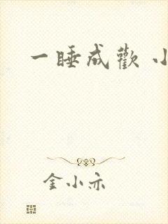 一睡成欢 小说