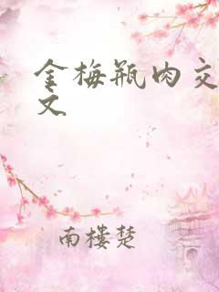 金梅瓶肉交白话文