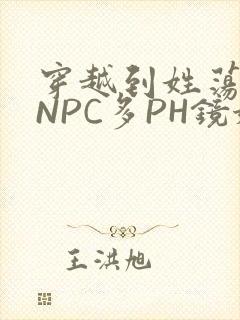 穿越到姓荡游戏NPC多PH镜姬