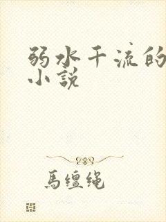 弱水千流的全部小说