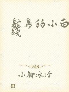 鸵鸟的小白脸路线