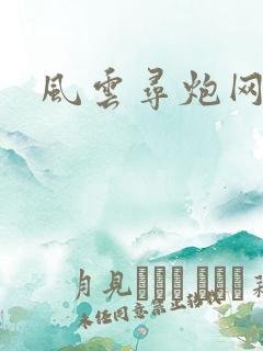 风云寻炮网