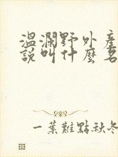 温澜野外产子小说叫什么名字