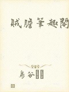 贼胆笔趣阁