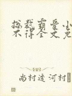 总裁霸爱小妻惹不得全文免费阅读