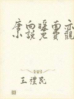 唐向暖南亦琛的小说免费观看