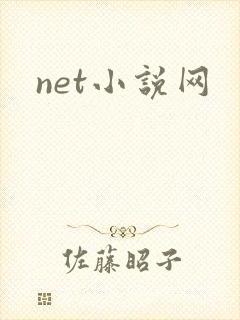 net小说网