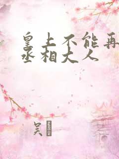 皇上不能再进了丞相大人