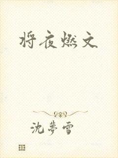 将夜燃文
