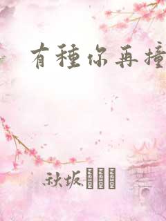 有种你再撞一下