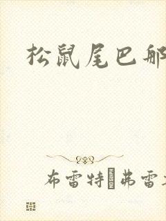 松鼠尾巴那么软