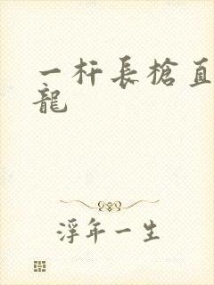 一杆长枪直捣黄龙