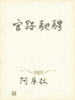 官路驰骋