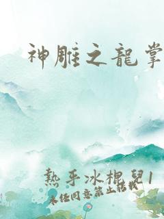 神雕之龙掌门