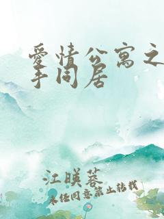 爱情公寓之与杀手同居