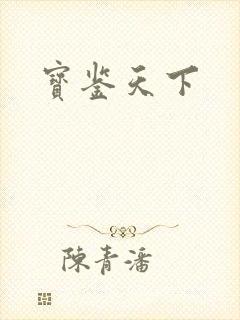 宝鉴天下