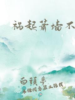 祸起萧墙不知戢