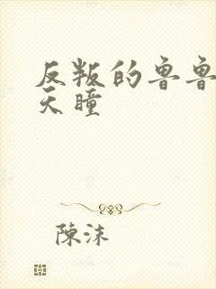 反叛的鲁鲁修之天瞳