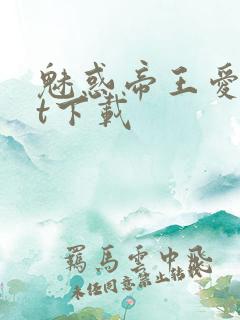 魅惑帝王爱txt下载