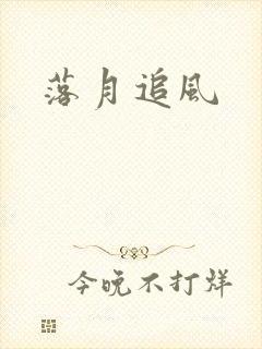 落月追风