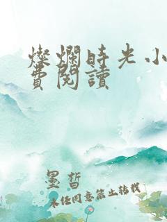 灿烂时光小说免费阅读