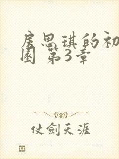 房思琪的初恋乐园 第3章