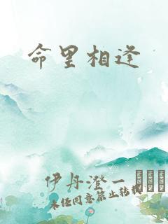 命里相逢