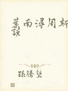 叶南浔周斯年小说