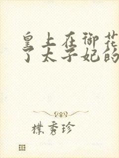 皇上在御花园c了太子妃的网剧