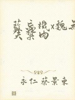 蓝忘机x魏无羡失禁肉