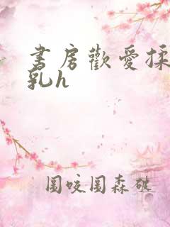 书房欢爱揉捏娇乳h