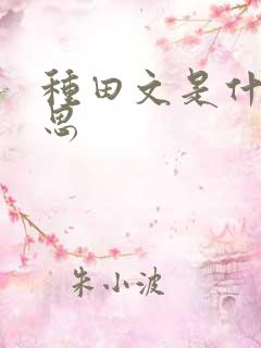 种田文是什么意思