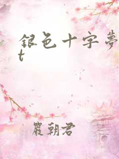 银色十字梦txt